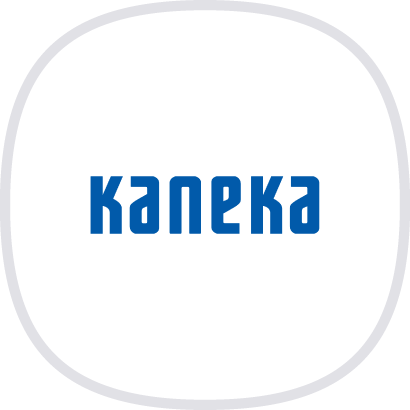 KANEKA.png