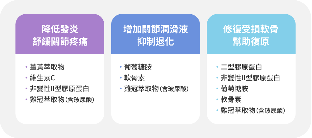 對抗退化性關鍵配方與作用