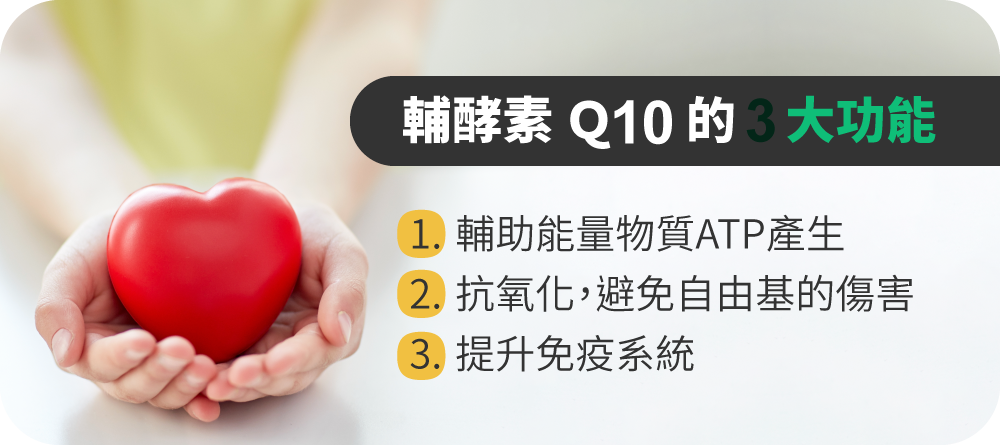 輔酵素 Ｑ10 主要的三大功能